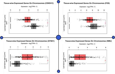 Systems Biology Integration and Screening of Reliable Prognostic Markers to Create Synergies in the Control of Lung Cancer Patients